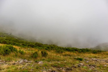 Azores 'in Madeira adasındaki en yüksek noktaya yürü Pico Ruivo - Portekiz