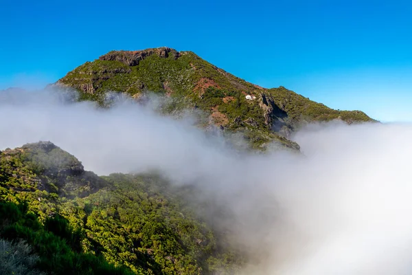 Caminhada Ponto Mais Alto Ilha Dos Açores Madeira Pico Ruivo — Fotografia de Stock