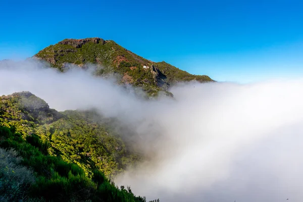 Caminhada Ponto Mais Alto Ilha Dos Açores Madeira Pico Ruivo — Fotografia de Stock