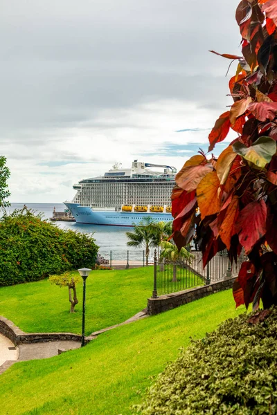 Sulla Strada Nella Romantica Città Portuale Funchal Sull Isola Delle — Foto Stock