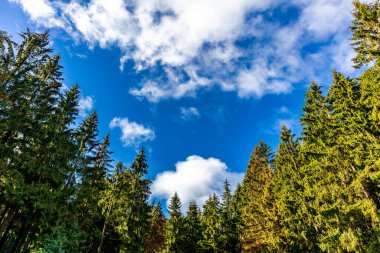 Ilmenau-Thuringia yakınlarındaki Kickelhahn 'a doğru yürüyün.
