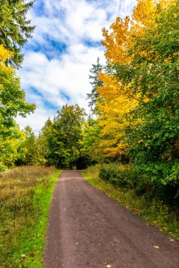 Ilmenau-Thuringia yakınlarındaki Kickelhahn 'a doğru yürüyün.