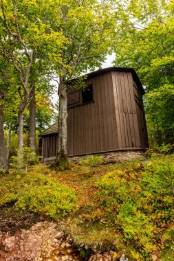 Ilmenau-Thuringia yakınlarındaki Kickelhahn 'a doğru yürüyün.