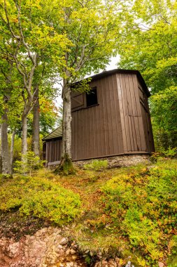 Ilmenau-Thuringia yakınlarındaki Kickelhahn 'a doğru yürüyün.