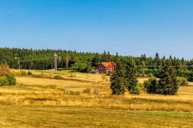 Thüringen Ormanı 'nda sonbahar yürüyüşü - Thüringen - Almanya