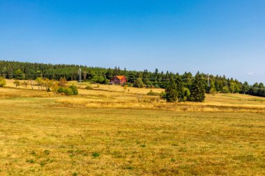Thüringen Ormanı 'nda sonbahar yürüyüşü - Thüringen - Almanya