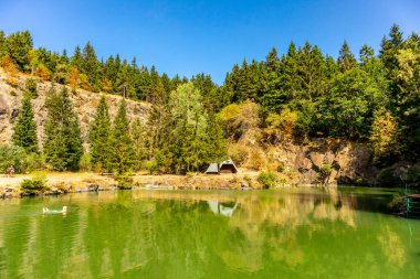 Thüringen Ormanı 'nda sonbahar yürüyüşü - Thüringen - Almanya
