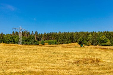 Thüringen Ormanı 'nda sonbahar yürüyüşü - Thüringen - Almanya