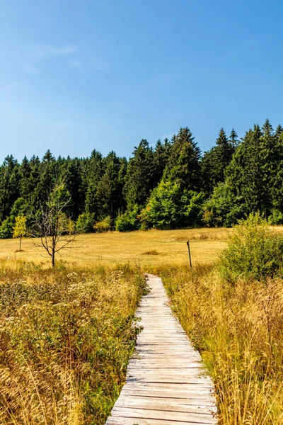 Autumn Walk High Trail Thuringian Forest Thuringia Germany — Stock Photo, Image