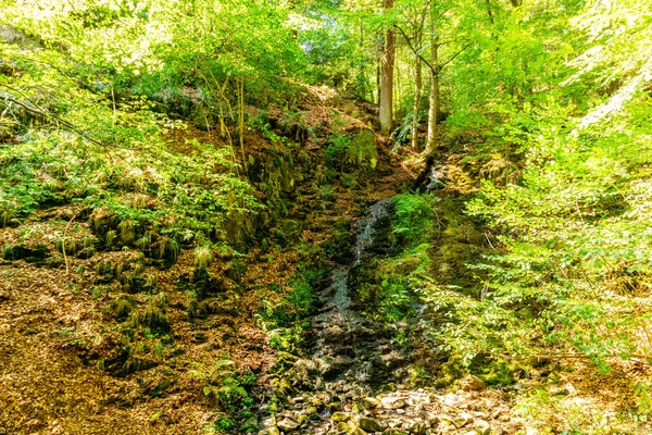 Herbstwanderung Auf Dem Höhenweg Des Thüringer Waldes Thüringen Deutschland — Stockfoto