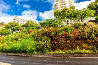 Atlantik Okyanusu, Madeira - Portekiz manzaralı Funchal levadas şehrine giderken. 