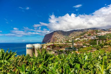 Atlantik Okyanusu, Madeira - Portekiz manzaralı Funchal levadas şehrine giderken. 