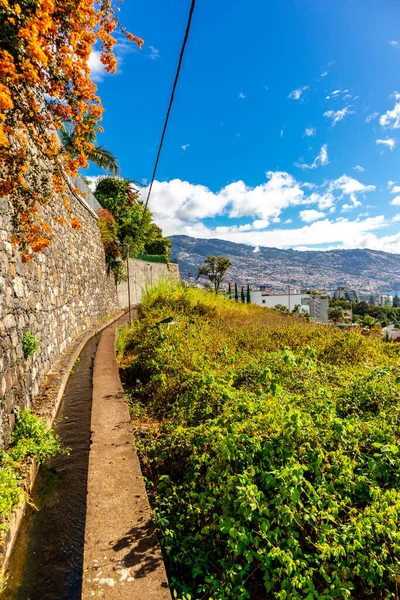 Drodze Mieście Lewady Funchal Fantastycznym Widokiem Ocean Atlantycki Madera Portugalia — Zdjęcie stockowe