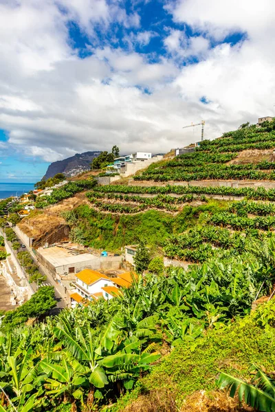 Στο Δρόμο Για Την Πόλη Λεβάντα Του Funchal Φανταστική Θέα — Φωτογραφία Αρχείου