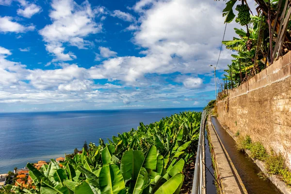 Στο Δρόμο Για Την Πόλη Λεβάντα Του Funchal Φανταστική Θέα — Φωτογραφία Αρχείου
