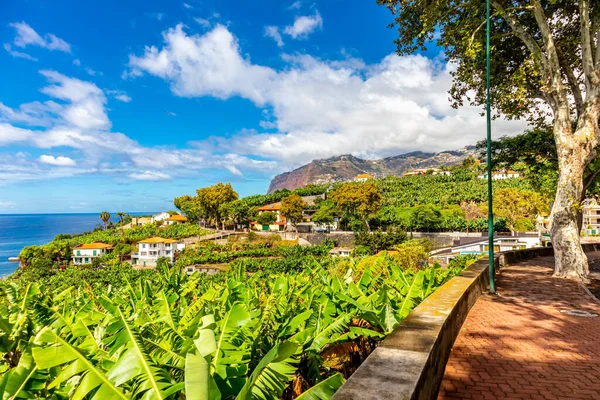 大西洋の素晴らしい景色を望むフンシャルの街のレバダの途中で マデイラ ポルトガル — ストック写真