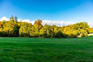 Bergpark 'ta sonbahar yürüyüşü Kassel Wilhelmshhe - Hesse - Almanya