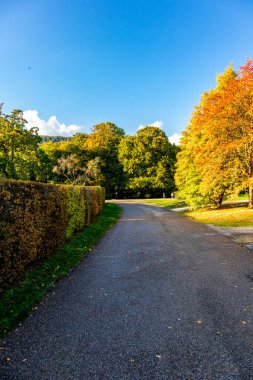 Bergpark 'ta sonbahar yürüyüşü Kassel Wilhelmshhe - Hesse - Almanya