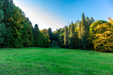Bergpark 'ta sonbahar yürüyüşü Kassel Wilhelmshhe - Hesse - Almanya