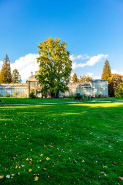 Bergpark 'ta sonbahar yürüyüşü Kassel Wilhelmshhe - Hesse - Almanya