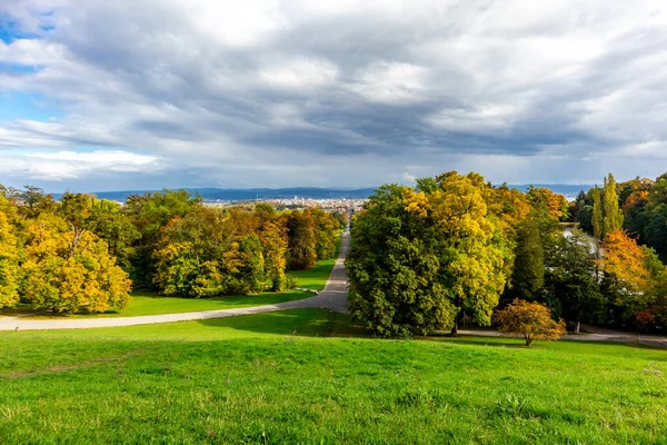 Autumn Прогулка Красивому Бергпарку Гессен Германия — стоковое фото