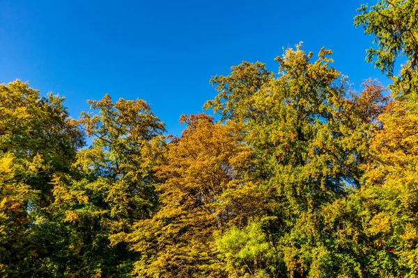 Herfstwandeling Door Het Prachtige Bergpark Kassel Wilhelmshhe Hesse Duitsland — Stockfoto