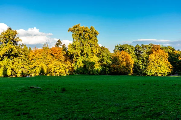 秋天漫步在美丽的柏格园 德国黑森州卡塞尔市 — 图库照片
