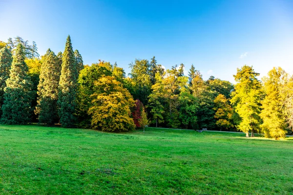 Autumn Прогулка Красивому Бергпарку Гессен Германия — стоковое фото