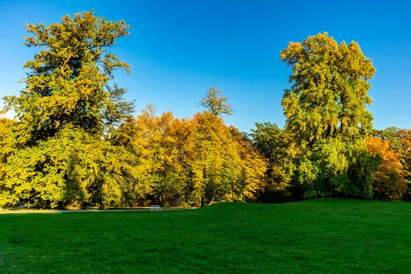 Podzimní Procházka Krásným Bergparkem Kassel Wilhelmshhe Hesensko Německo — Stock fotografie