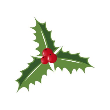 Holly Böğürtlen çizimi beyaz arka planda izole edilmiş. Noel Sembolü.