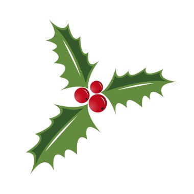 Holly Böğürtlen çizimi beyaz arka planda izole edilmiş. Noel Sembolü.