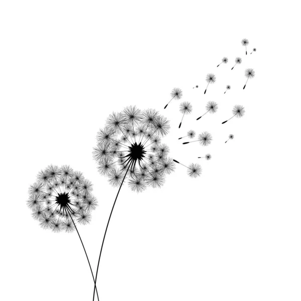 Vector illustration dandelion time. Black Dandelion seeds blowing in the wind. The wind inflates a dandelion isolated on white background — Stock Vector