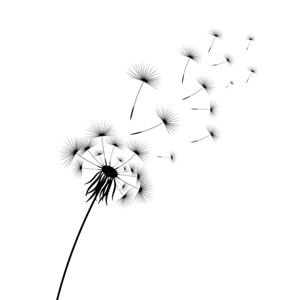 Ilustración vectorial tiempo diente de león. Semillas de diente de león negro soplando en el viento. El viento infla un diente de león aislado sobre fondo blanco — Vector de stock