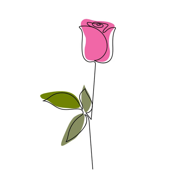 Desenho Linha Contínua Flor Rosa Rosas Mínimas Abstratas Linha Vetorial — Vetor de Stock