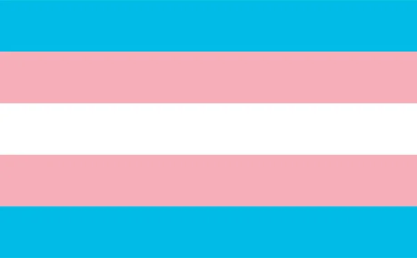 Bandiera Transgender Una Comunità Minoranza Sessuale Orgogliosa Lgbtq — Vettoriale Stock