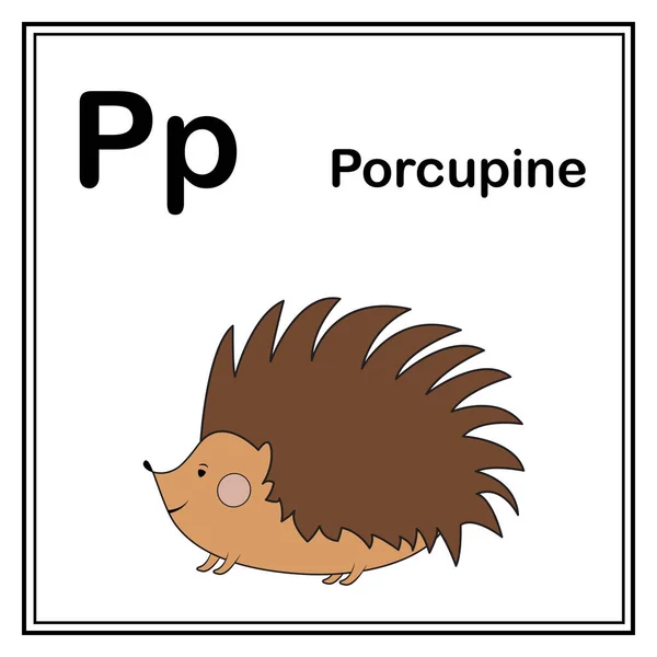 Cute Children Abc Animal Abphabet Letter Flashcard Porcupine Kids Learning — Stockový vektor