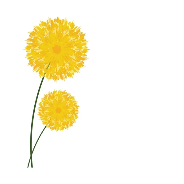 Vektor Kézzel Rajzolt Akvarell Sárga Kör Alakú Virágkoszorú Virágzó Tavaszi — Stock Vector