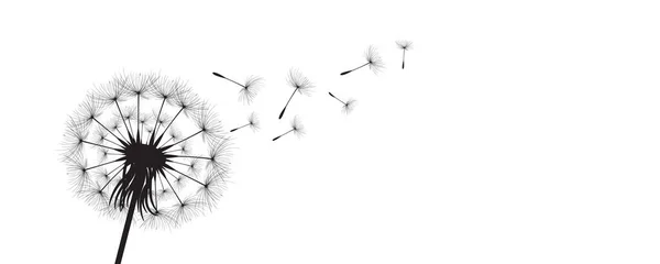 Vector Illustration Dandelion Time Black Dandelion Seeds Blowing Wind Wind — Stock Vector