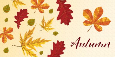 Yapraklı sonbahar arkaplanı. Poster, afiş, el ilanı, davetiye, web sitesi veya tebrik kartı olarak kullanılabilir. Vektör illüstrasyonu