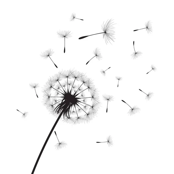 Vector Illustration Dandelion Time Black Dandelion Seeds Blowing Wind Wind — Stock Vector