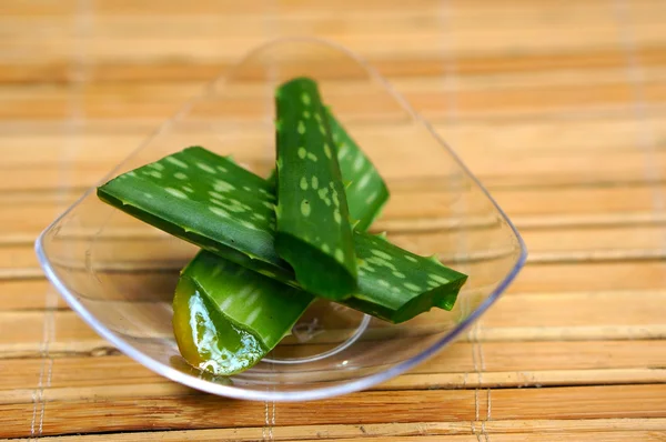 aloe vera yaprağı