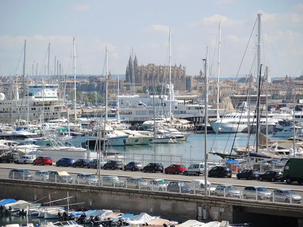 bir Palma de mallorca