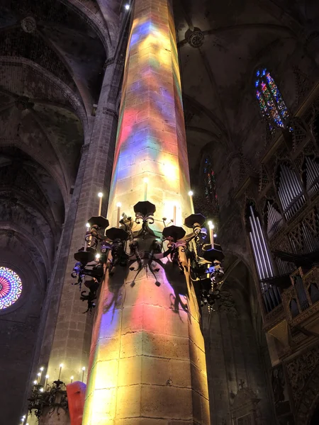 Della Palma Katedrali'ne