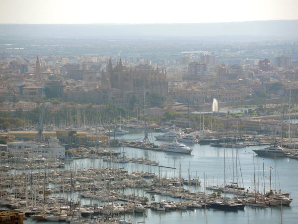 bir Palma de mallorca