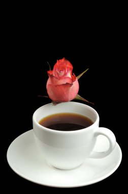 Bir fincan kahve çekirdeği.