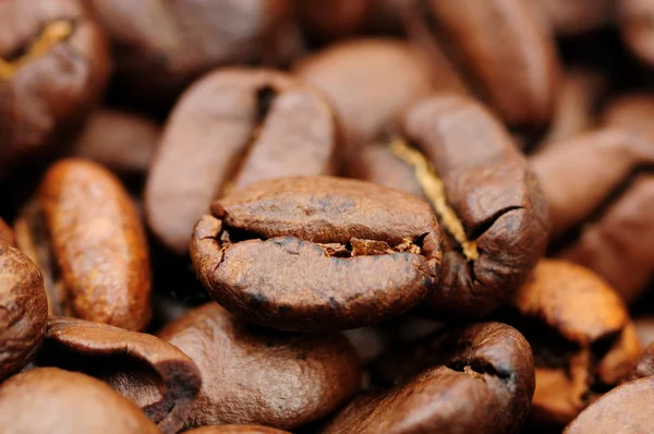 Grãos de café — Fotografia de Stock