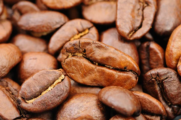 Doftande stekt kaffebönor — Stockfoto