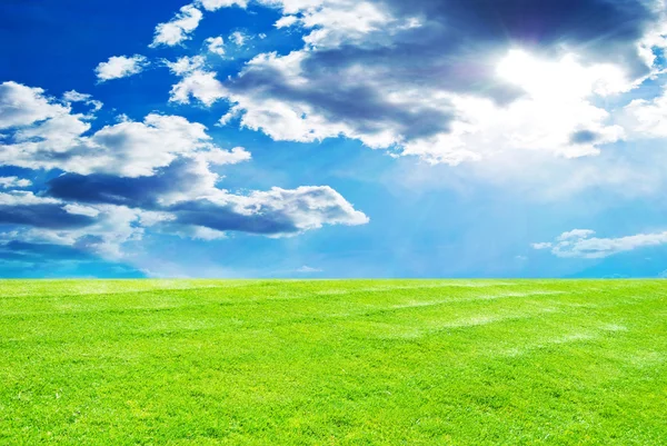 Blå himmel och grönt gräs — Stockfoto