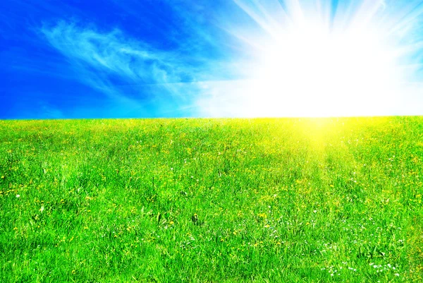 Голубое небо и зеленая трава — стоковое фото