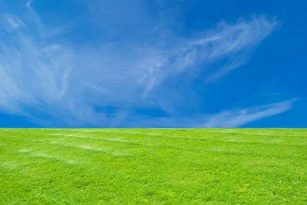 Blauwe lucht en groen gras — Stockfoto